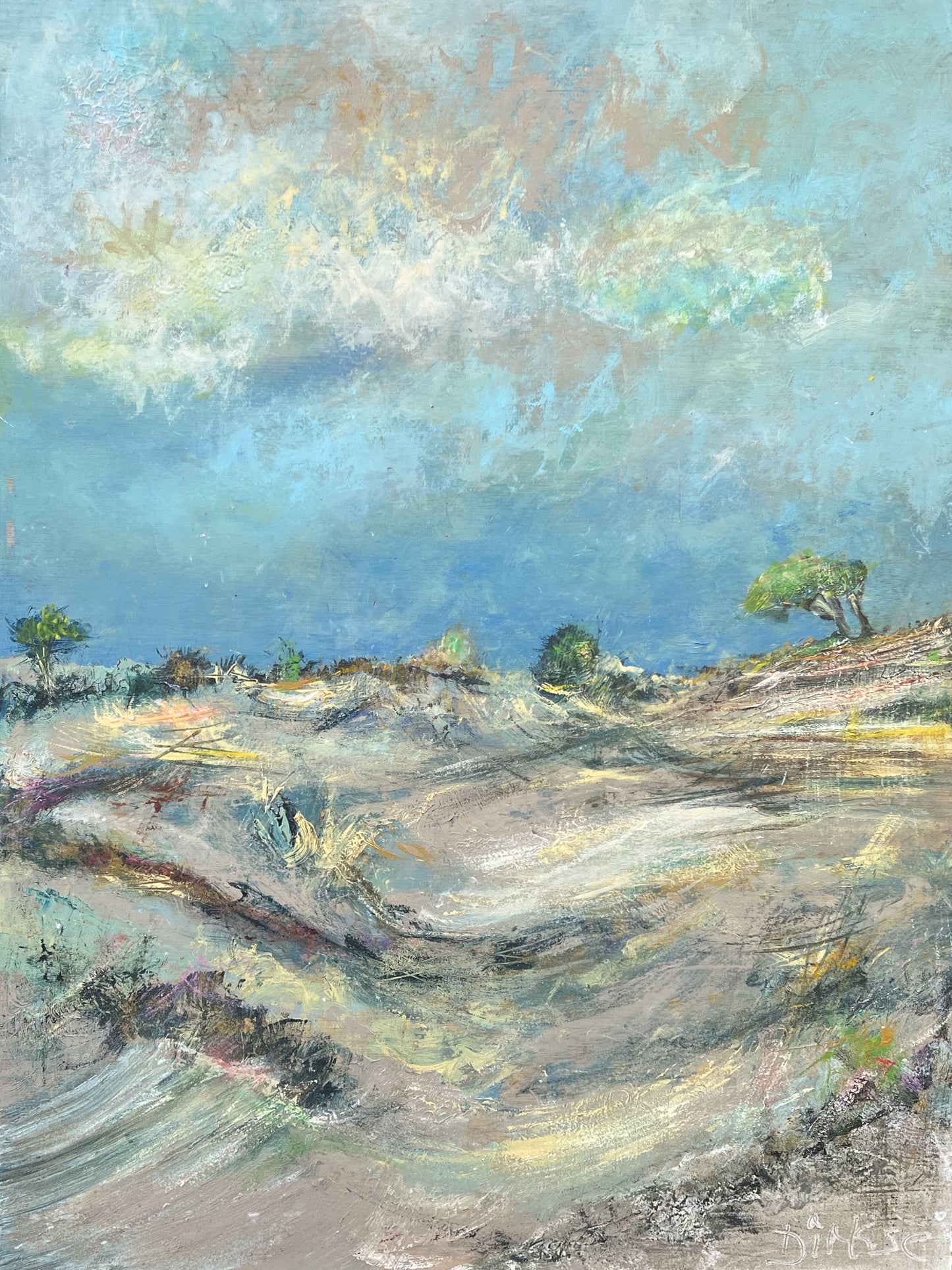 A Day Out In The Dutch Dunes